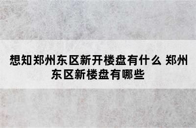 想知郑州东区新开楼盘有什么 郑州东区新楼盘有哪些